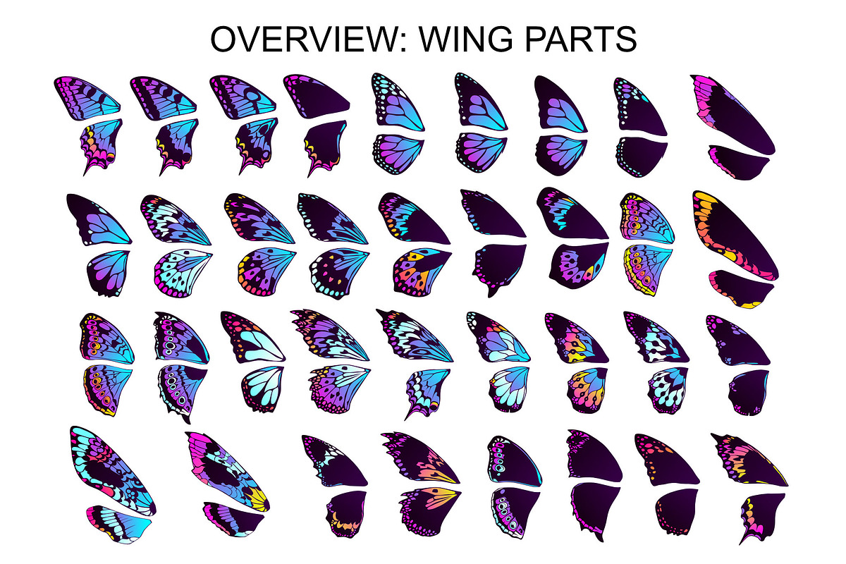 Wings & Butterfly(SVG, PNG Brushes), a Brush Add-On by xresch (Photo 19 of 22)