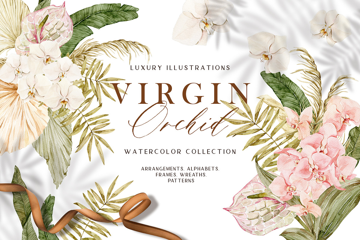 VIRGIN ORCHID watercolor set, an Illustration by long summer (Photo 1 of 10)