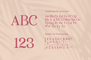 Velparde Janeiro - Modern Serif Font, a Serif Font by Artchitype Studio (Thumbnail 20 of 26)