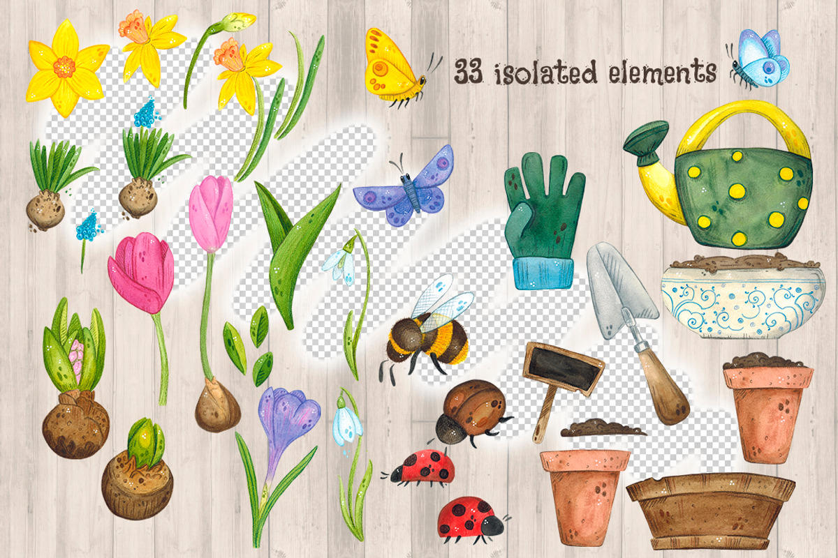 Spring bulbous flowers watercolor, an Object Illustration by DemiLena (Photo 3 of 12)