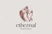 Radiant Charisma - Serif Family, a Serif Font by Prioritype Co (Thumbnail 6 of 10)