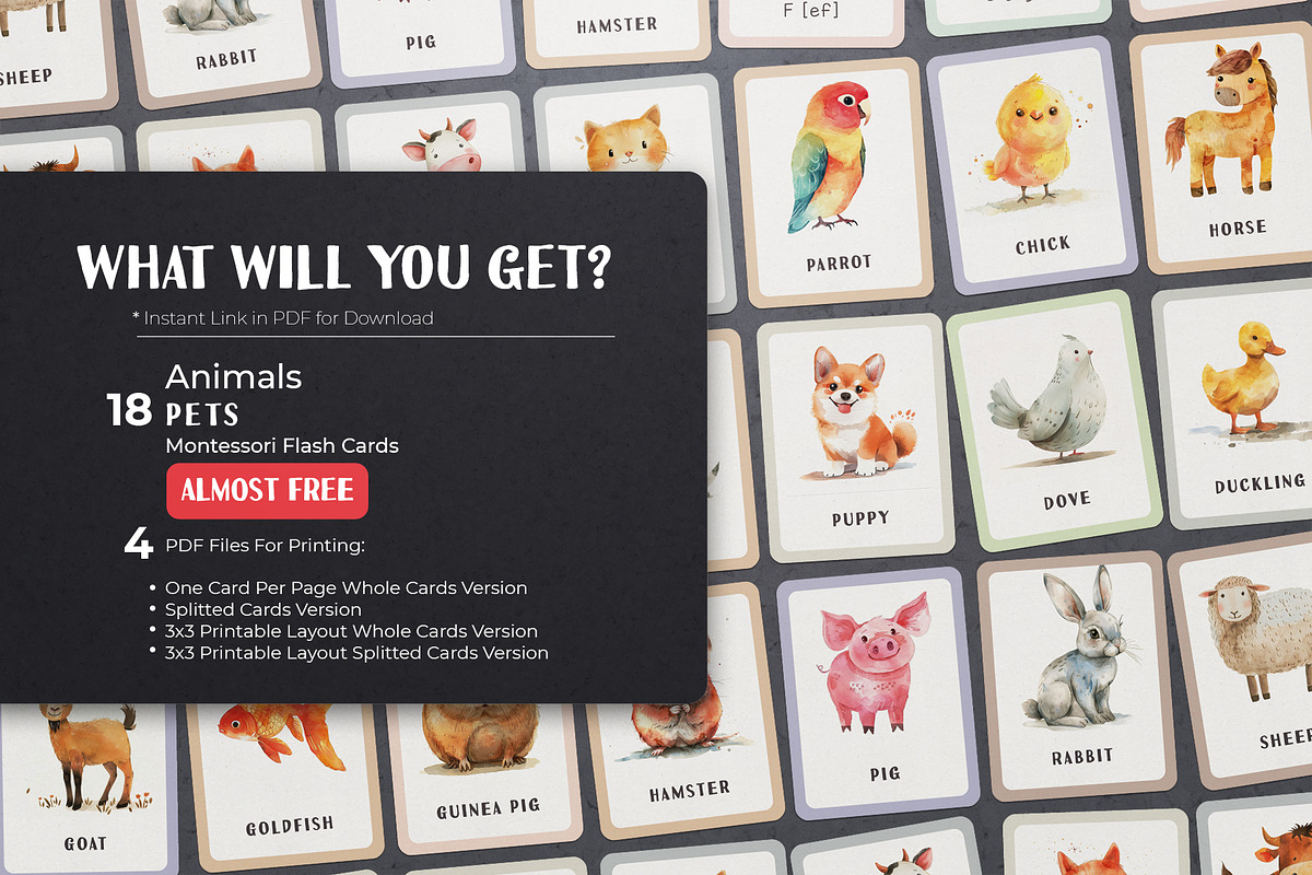Almost Free Animals Montessori Cards, a School & Education Photo by Pix Cafe (Photo 2 of 11)