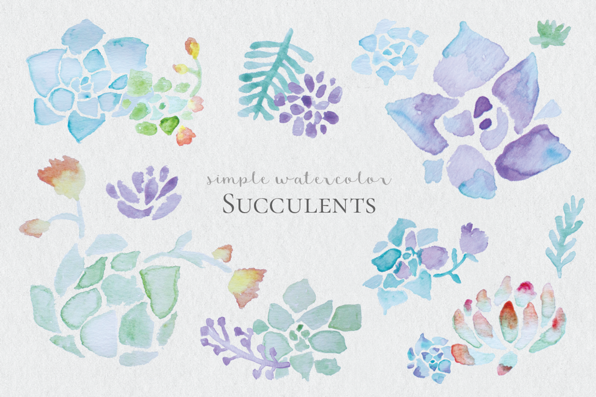 Watercolor Succulents, an Illustration by DesignsByMissM