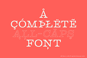Wild Chance Complete 6-Font Family, a Serif Font by Up Up Creative (Thumbnail 13 of 15)