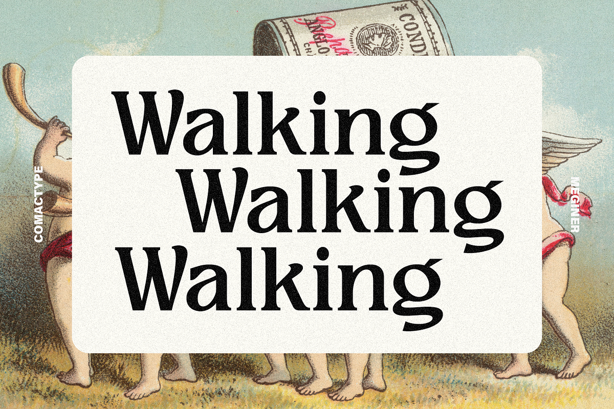 Meginer Nineties - Modern Serif, a Serif Font by Comactype Foundry (Photo 7 of 22)
