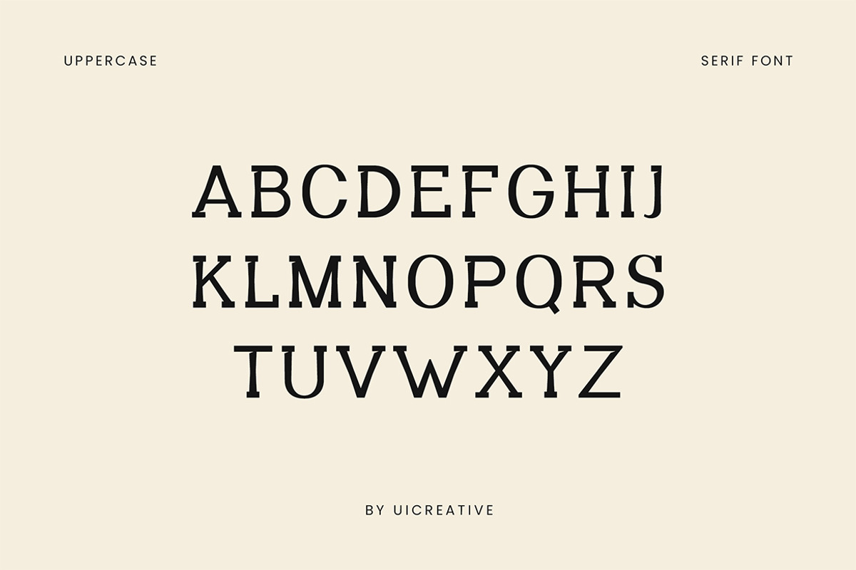 Methadone Modern Serif Font, a Serif Font by UICreative (Photo 11 of 13)
