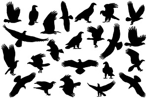 Bald eagle silhouette, an Animal Illustration by Viktoria.1703