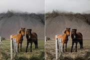 9 Nature Landscape Lightroom presets, a Preset Add-On by Presets by Yevhen (Thumbnail 4 of 10)