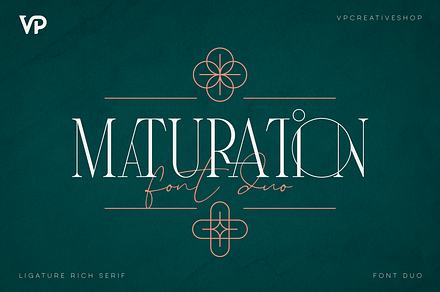 SALE! Maturation Typeface - font duo