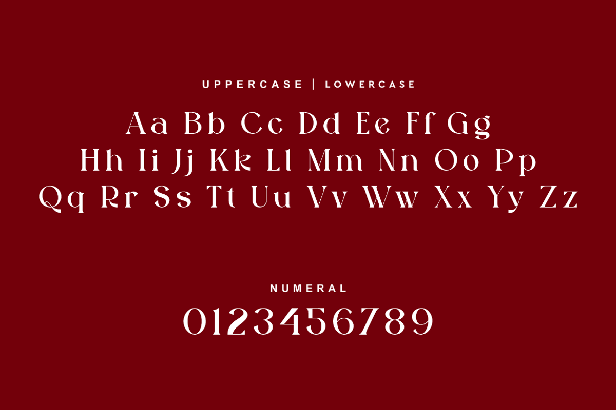 Luxafy Wetysh - Modern Luxury Font, a Serif Font by QR Design Studio (Photo 20 of 27)