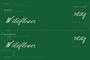 Cascade Script, a Handwritten Font by Lilithcollageart (Thumbnail 9 of 9)
