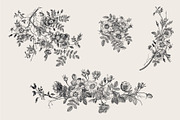 Wild Roses, a Decorative Illustration by olga.korneeva (Thumbnail 19 of 24)