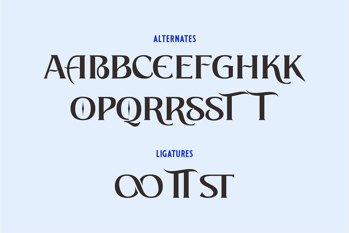 BEACH STONE | Modern Serif Font, a Serif Font by Havinkpen (Photo 7 of 7)