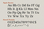 Glamourie – Elegant Rounded Serif, a Serif Font by Brand Earth (Thumbnail 2 of 10)