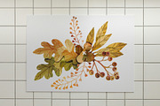 Botanical Bundle Nr 2 | Fall Edition, a Seasonal Illustration by Helga Wigandt (Thumbnail 8 of 9)