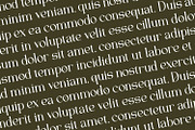 Quelgira - Serif Typeface Font, a Serif Font by Rishsketch (Thumbnail 15 of 15)