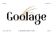 Goolage | Modern Serif Font, a Serif Font by BearyType Studio (Thumbnail 1 of 7)