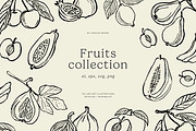 1500+ All Illustrations Bundle, a Decorative Illustration by Crocus Paperi (Thumbnail 20 of 25)