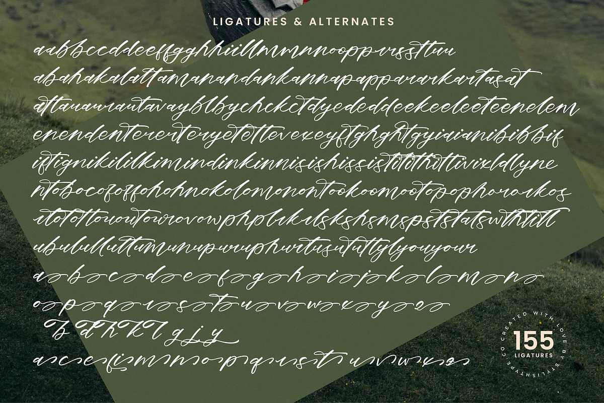 Dream Routes Modern Calligraphy, a Script Font by stylishtype.co (Photo 19 of 20)