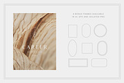 Botanical Logo kit, a Branding & Logo Template by Davide Bassu (Thumbnail 11 of 13)