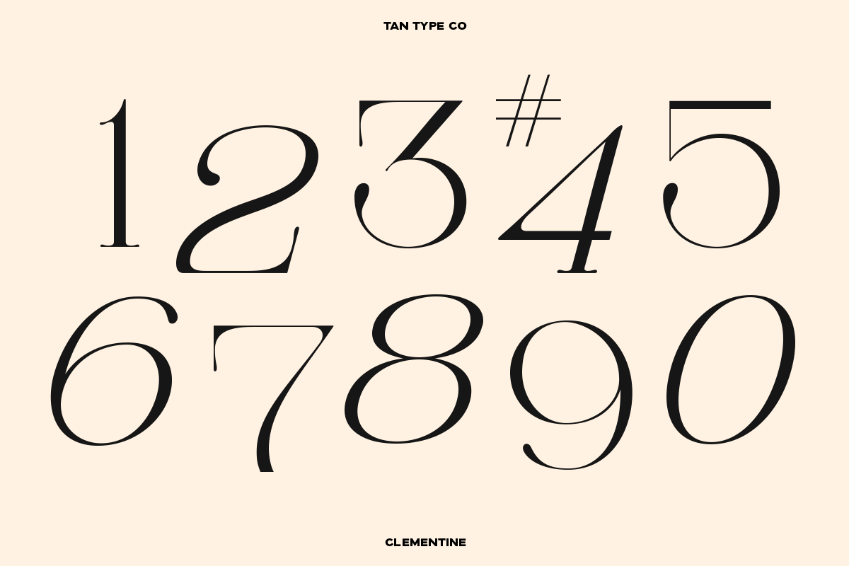 TAN - CLEMENTINE, a Serif Font by TanType (Photo 11 of 20)