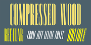 Compressed Wood JNL, a Serif Font by Jeff Levine Fonts (Thumbnail 1 of 5)
