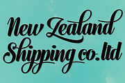 Journey Script Family, a Script Font by Fenotype (Thumbnail 5 of 8)