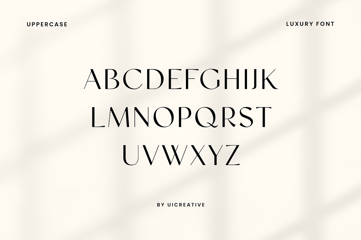 Facelio Modern Stylish Sans Serif, a Sans Serif Font by UICreative (Photo 6 of 13)