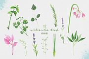 Watercolor Herbs, a Food Illustration by Paperon Design (Thumbnail 2 of 3)