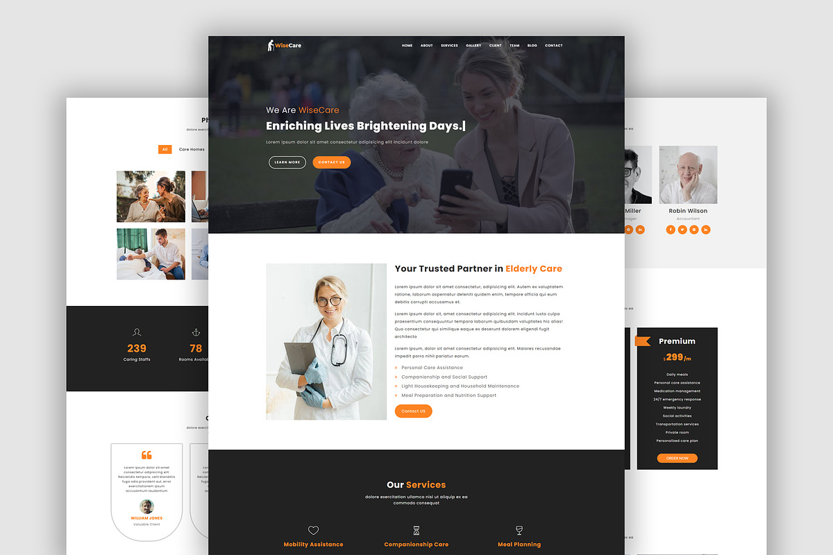 WiseCare- Elderly care HTML Template, a Bootstrap Template by nandinigraphics (Photo 2 of 3)