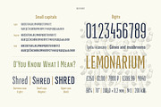 Green Grove // 3 fonts, a Serif Font by True Story Letterworks (Thumbnail 5 of 12)