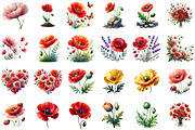 Summer Poppy Flowers Clipart, an Illustration by Sublimation Artist (Thumbnail 2 of 6)