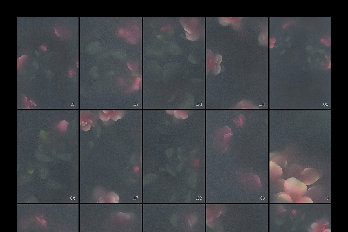 Nocturne in Bloom Floral Backgrounds, a Background Graphic by Dina Mae (Photo 9 of 10)
