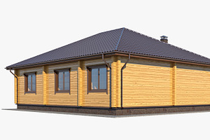 Log House 02