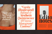 The Astoria's Editorial Serif, a Serif Font by CarmineType (Thumbnail 13 of 26)