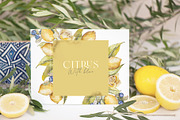 Watercolor lemon and blueberry, an Illustration by MariGraphic boutique (Thumbnail 4 of 13)