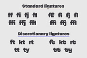 YNF Romero | Display sans serif, a Sans Serif Font by YNF (Thumbnail 4 of 21)
