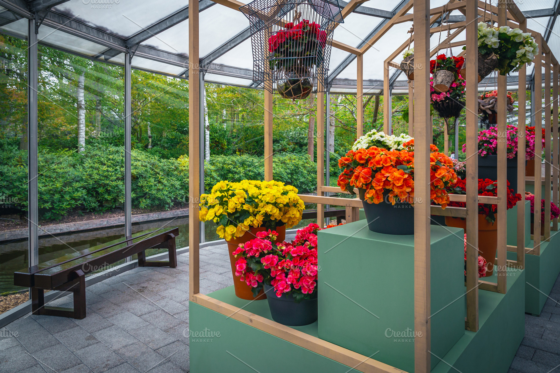 Various colorful flowers, a Nature Photo by Alpine Dreams