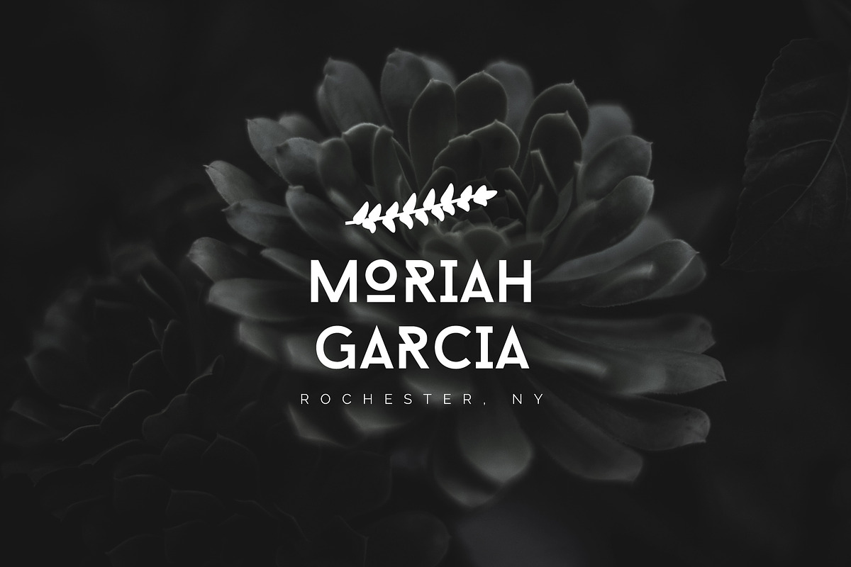Feminine Branding Premade Logos V01, a Branding & Logo Template by XpertgraphicD (Photo 12 of 13)
