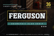 Ferguson Slab Font Family, a Slab Serif Font by Arterfak Project (Thumbnail 1 of 10)