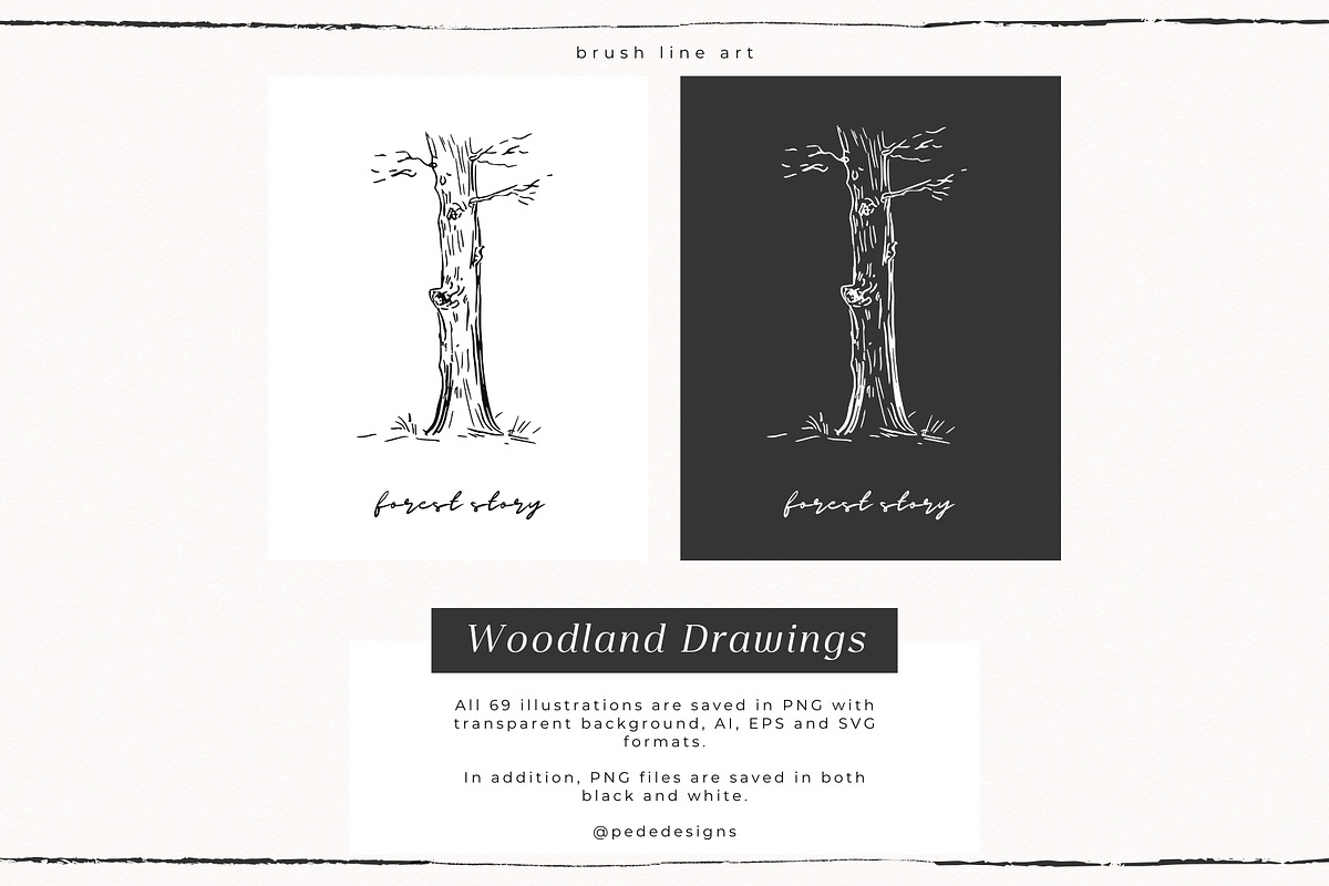 Woodland Drawings, an Animal Illustration by PeDe Designs (Photo 2 of 9)