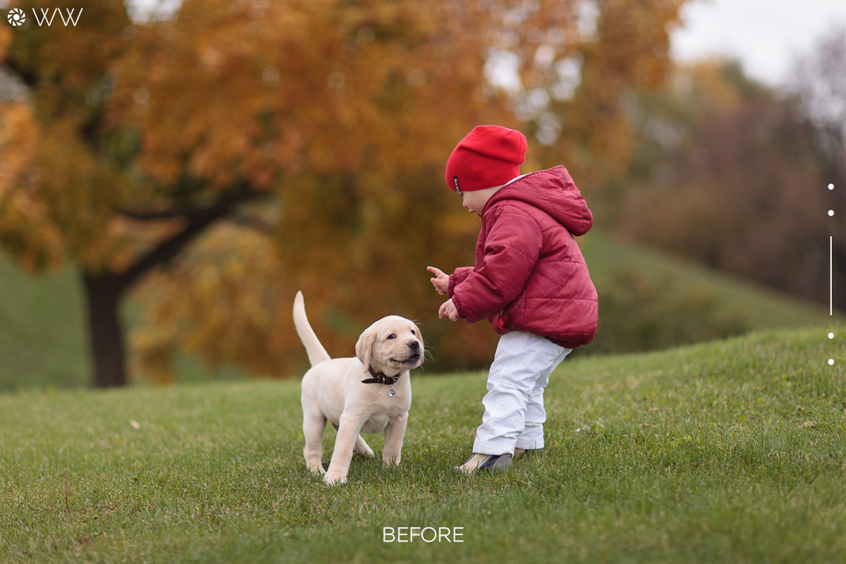 Best Portrait - Lightroom Presets, an Action Add-On by Willa (Photo 2 of 23)