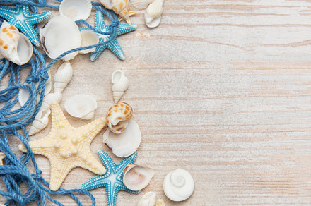 Fishing net, starfishes and seashells lying on wooden planks bac