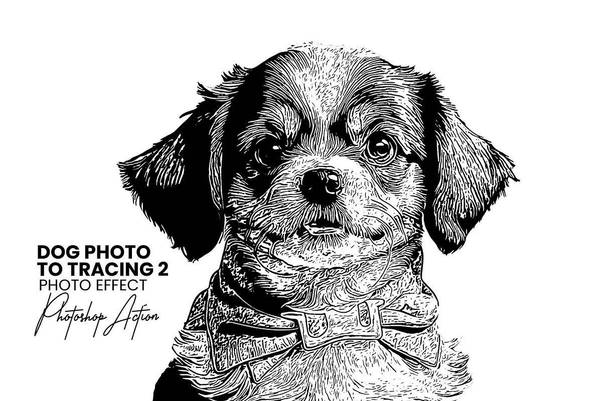 Dog Photo to Tracing Action, an Action Add-On by Photoshop Action (Photo 1 of 10)