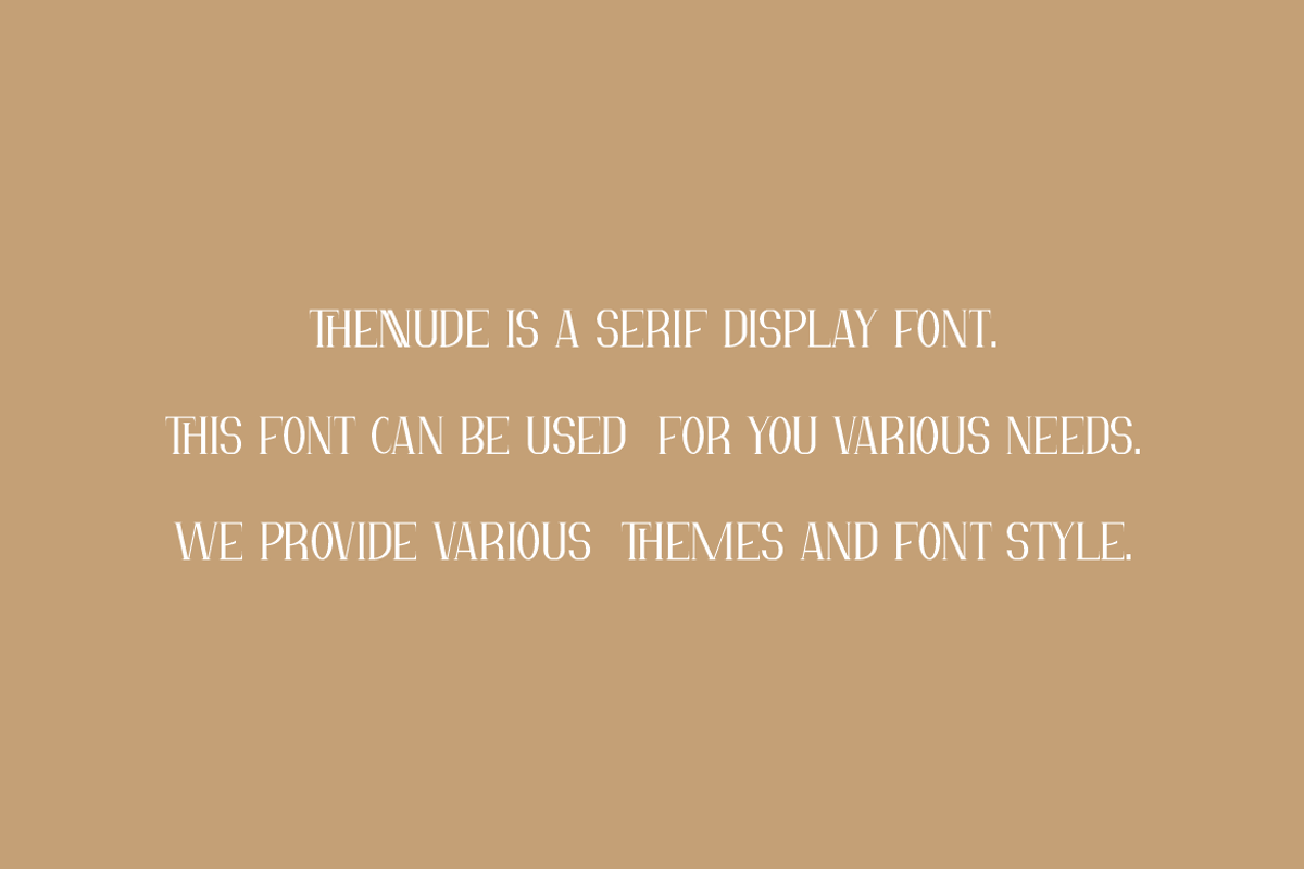 Thennude - Minimal Serif Font, a Serif Font by Iqsiart Studio (Photo 4 of 7)