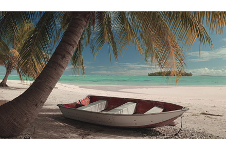 Small wooden boat resting on the, an Animal Photo by Goinyk