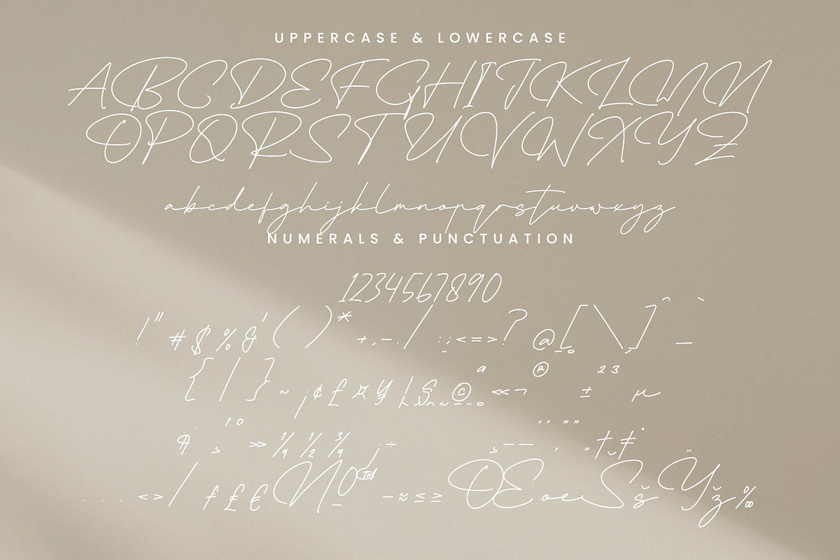 Bangkok Sapture, a Script Font by Integritype Studio (Photo 13 of 15)