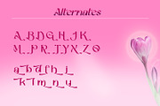 Betshaid - Stylish Display Font, a Sans Serif Font by Favo Write (Thumbnail 8 of 12)