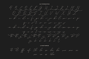 Embarghost - Classic Script Font, a Script Font by PuriCreative (Thumbnail 9 of 11)