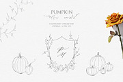 Pumpkin line art. Fall floral wreath, an Illustration by Summer Nightingale Art (Thumbnail 2 of 8)